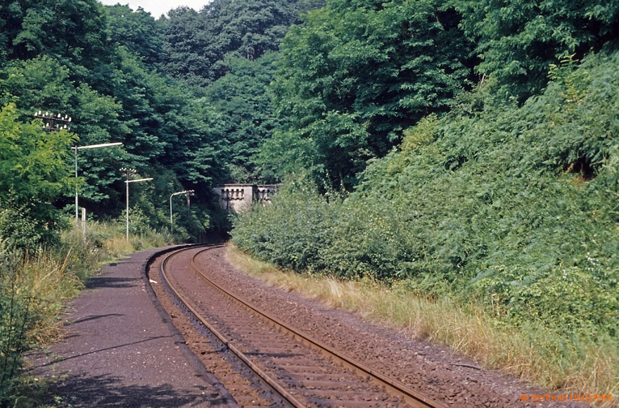 230_08.08.1977